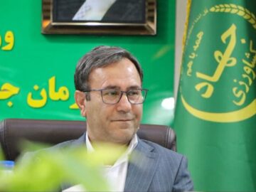 ۴۰ هکتار گلخانه جدید در لرستان احداث می‌شود
