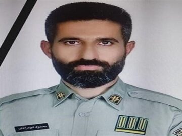 دو ضارب محیط بان شهید شهمرادی دستگیر شدند