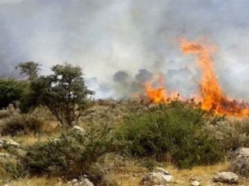 حریق در حدود ۱۰ هکتار از مراتع گردنه گوشنگلی بروجن