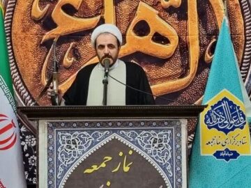 امام جمعه موقت ضیاءآباد: قدرت نرم شیعه در اربعین متجلی است