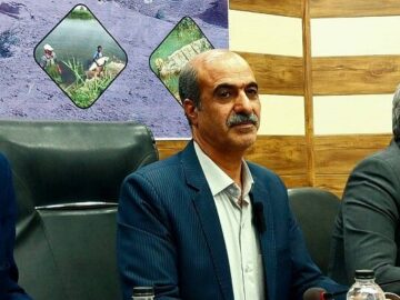 ارتزاق بیش از ۳۸۰۰ خانواده در هیرمند از طریق کوله‌بری قانونی