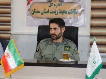 آغاز فصل گاو بانگی در استان سمنان؛ نغمه عشق و بقا در جنگل هیرکانی ابر