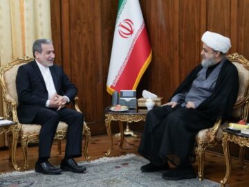 دیدار دبیرکل مجمع جهانی تقریب مذاهب اسلامی با عباس عراقچی