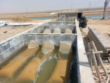 اجرای طرح پایلوت کنترل و پیشگیری از بیماری‌های میگو در بردستان