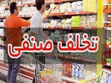 ۲۲ میلیارد ریال جریمه برای متخلفان صنفی و غیرصنفی در کردستان