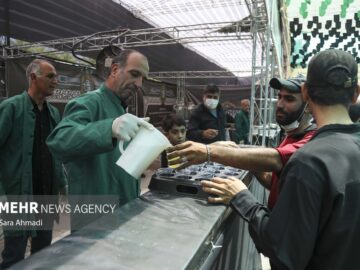 خدمت به زائران سوگوار رضوی نمادی از اتحاد و همدلی است