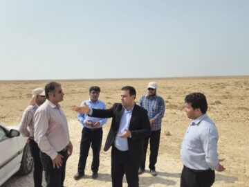 توسعه نیروگاه خورشیدی در دیلم با رعایت حقوق تولیدکنندگان محلی