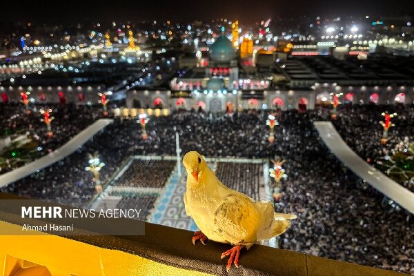 امام رضا (ع)؛ امام گفت‌وگو، عقلانیت و کرامت انسانی