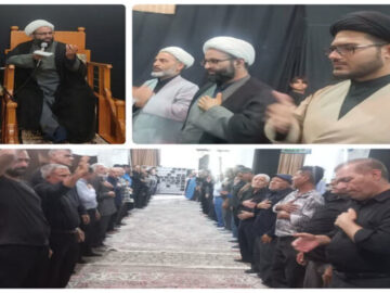 شهر قیر فارس در سوگ امام رضا(ع) غرق در ماتم بود