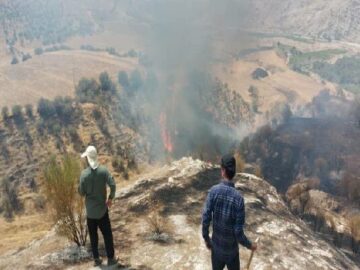 آتش سوزی روستای بی بی زلیخایی در کهگیلویه مهار شد
