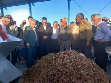 ترمینال فرآوری و بسته‌بندی پسته در اسفراین به بهره‌برداری رسید