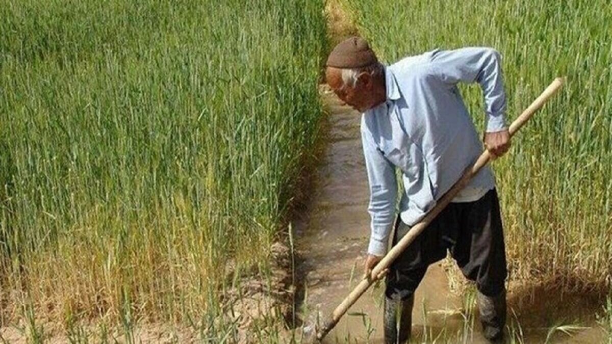آب؛ قربانی کشاورزی پر مصرف / سرمایه حیاتی کرمان در سراشیبی
