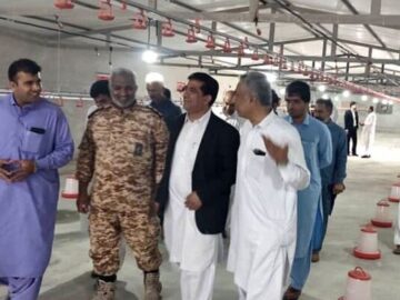 افتتاح اولین واحد پرورش بلدرچین در سیب و سوران