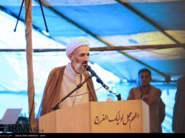 عضو مجلس خبرگان رهبری: حماسه مردمی اربعین جلوه‌ای از عشق حسینی و اقتدار ملی است