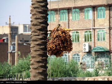 قطعی برق در خرماپزان قصرشیرین داد مردم را درآورد