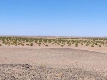 برخی از مناطق استان زنجان در حال بیابانی شدن است