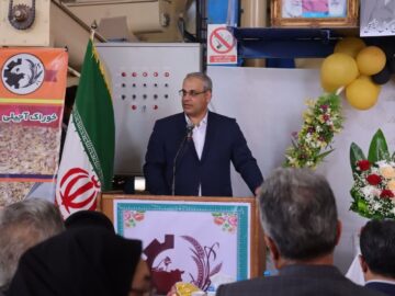 معاون وزیر کار: بهره‌وری مهم‌ترین رکن در کاهش هزینه‌های تولید است