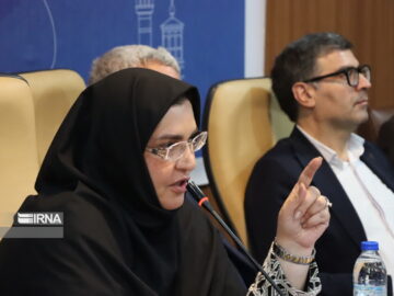 معاون وزیر رفاه: مهارت، ضامن امنیت شغلی نیروی کار است
