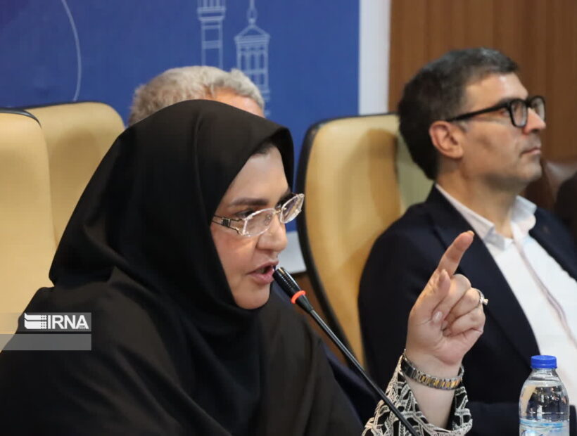معاون وزیر رفاه: مهارت، ضامن امنیت شغلی نیروی کار است