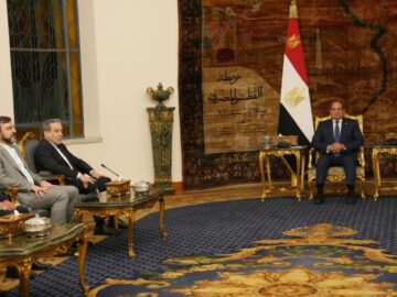 عراقچی با رئیس‌جمهور مصر دیدار کرد
