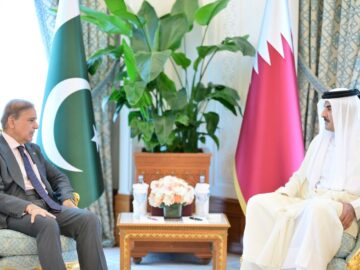 نخست وزیر پاکستان بر ضرورت توقف تجاوزات اسرائیل در خاورمیانه تاکید کرد