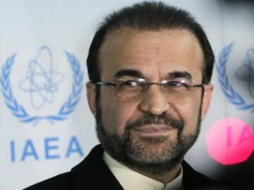 نجفی:۷۲ درصد از  فعالیت‌های راستی‌آزمایی آژانس در ایران انجام شده است