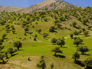 رشد چشمگیر ورود گردشگران به ایلام با زیرساخت‌های جدید