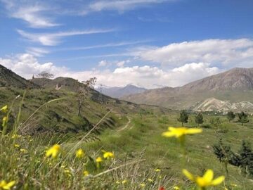 ساخت نیروگاه بدون مجوز در قلب پارک ملی خجیر