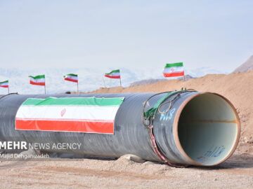 کرمانی‌ها مهرماه طعم آب خلیج فارس را می چشند