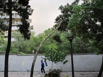 وزش شدید باد استان زنجان را فرا می گیرد