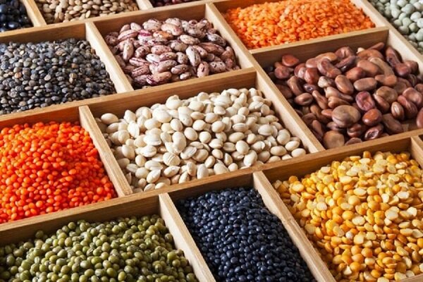 معیشت در تنگنای گرانی؛ روایت بازار یزد از انفعال مسئولان تا انحصار