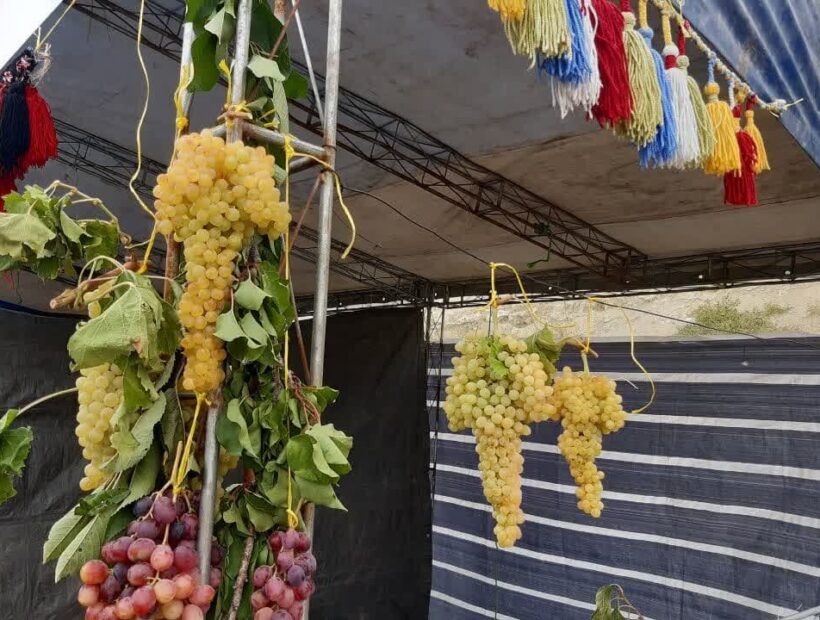 سومین جشنواره ملی انگور در مشگین‌شهر برگزار می‌شود