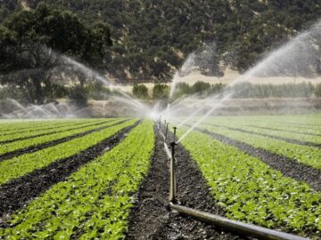 ۴۸ هزار هکتار از اراضی مازندران به سامانه‌های نوین آبیاری مجهز شدند