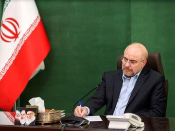 قالیباف: ایران آقای بلامنازع کشتی در جهان است