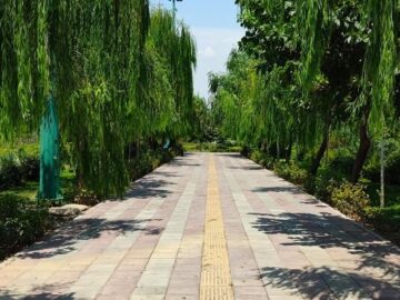 آغاز اجرای طرح پاکسازی پارک‌ها، بوستان‌ها و تفرجگاه‌ها از فردا