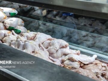 توزیع بیش از ۲۷۰ تن مرغ منجمد در کردستان برای تنظیم بازار