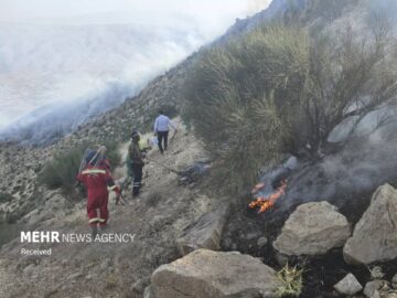 دادستان ایلام: با عوامل انسانی در آتش‌سوزی جنگل ها برخورد قاطع می‌شود