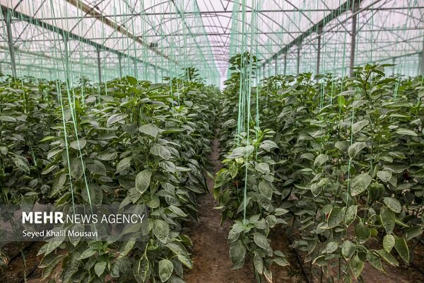 زابل در مسیر توسعه؛ انجام طرح های مهم زیرساختی با اعتبار بیش از ۲ همت