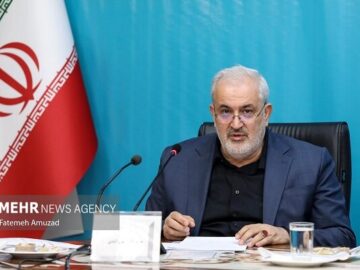 وزیر نیرو: شتاب توسعه نیروگاه‌های خورشیدی باید حفظ شود