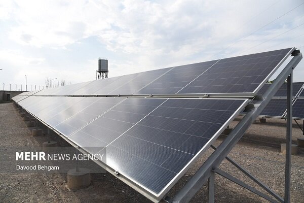 کشمش خلیلآباد؛ سرمایهای ملی زیر سایه خشکسالی و بیثباتی بازار