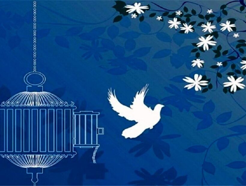 پویش «به عشق پیامبر(ص) می‌بخشم»؛ تکرار الگوی همدلانه در دارالمرحمه