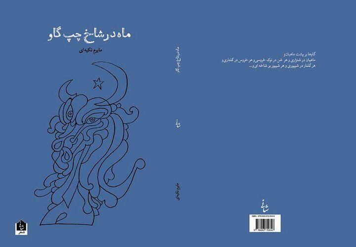 شعر من را تراشید؛ کار اصلیام مجسمهسازی است و خودم را شاعر نمیدانم