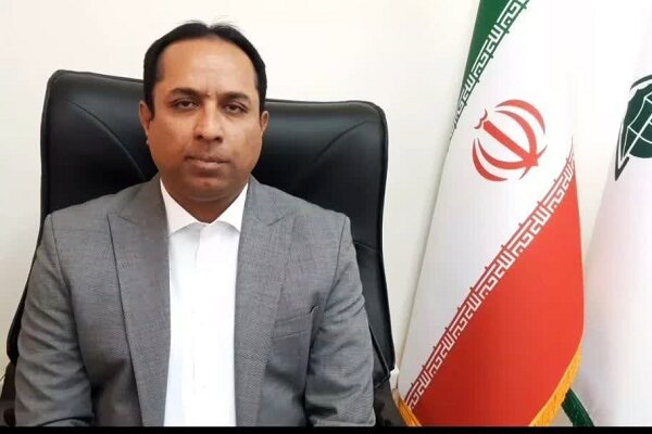 عشایر سیستان و بلوچستان، تولیدکننده یکچهارم گوشت قرمز استان