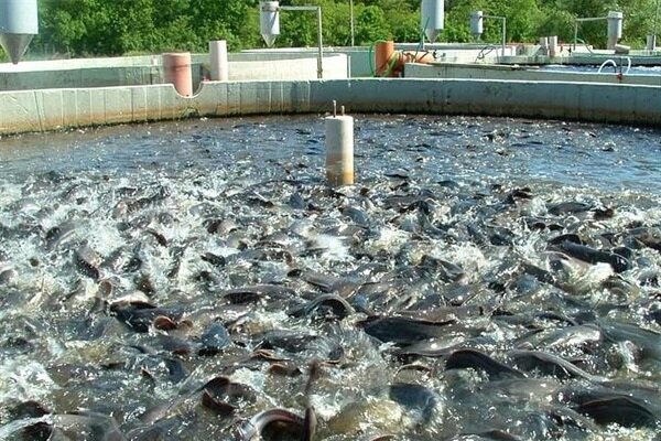 زابل در مسیر توسعه؛ انجام طرح های مهم زیرساختی با اعتبار بیش از ۲ همت