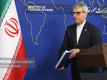 بقائی: پیگیری‌ها برای آزادی مهدیه اسفندیاری ادامه دارد