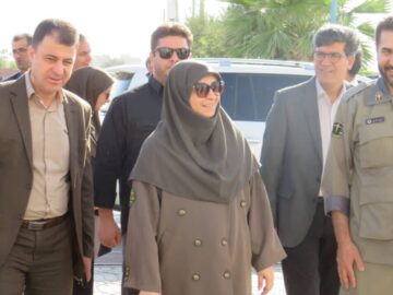انصاری از پروژه فنس کشی کوریدور یوزپلنگ بازدید کرد