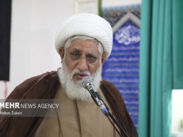 امام جمعه میناب: اتحاد سپر محکم امت اسلامی است