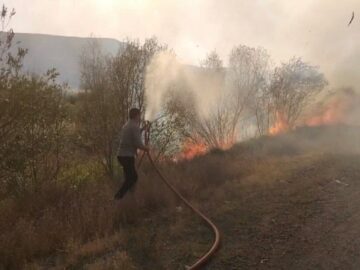آتش‌سوزی درختان در حوالی روستای «کوخالو» تیکمه‌داش مهار شد