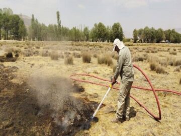 آتش‌سوزی عمقی در تالاب گندمان پیش از گسترش مهار شد