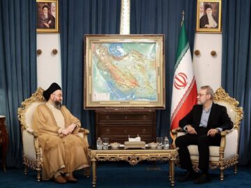 لاریجانی با سید عمار حکیم دیدار کرد